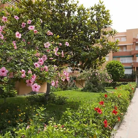 Jardines Del Mar Apartamento *